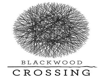 تصویر دانلود بازی Blackwood Crossing عبور از جنگل تاریک برای کامپیوتر
